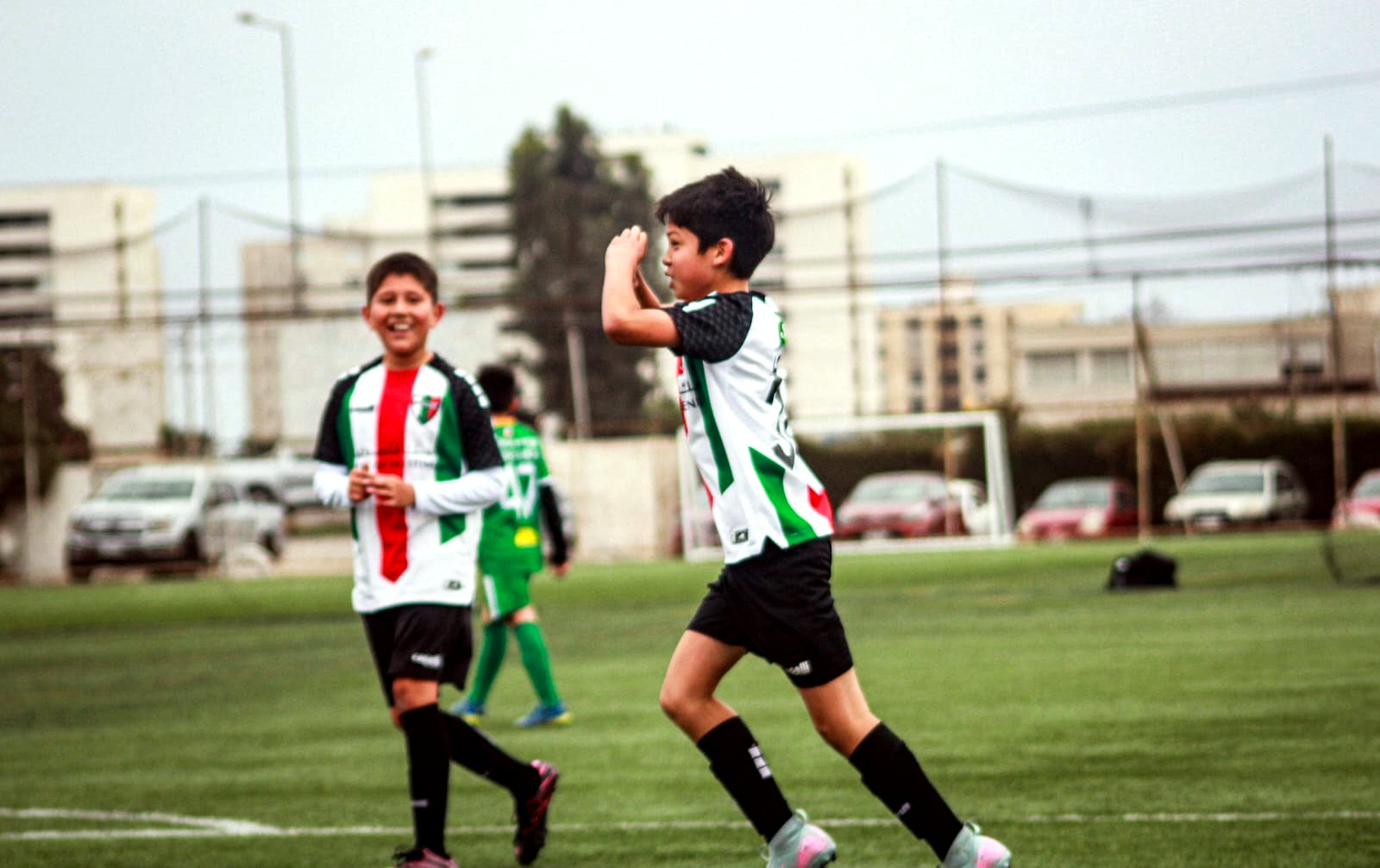 Competencia formativa - Escuela Oficial Palestino