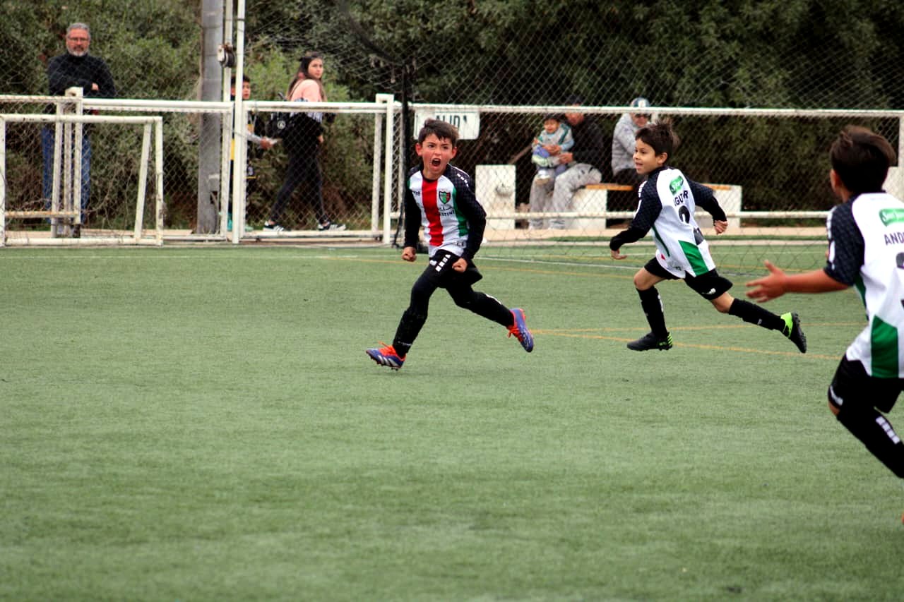 Desarrollo deportivo - Escuela Oficial Palestino