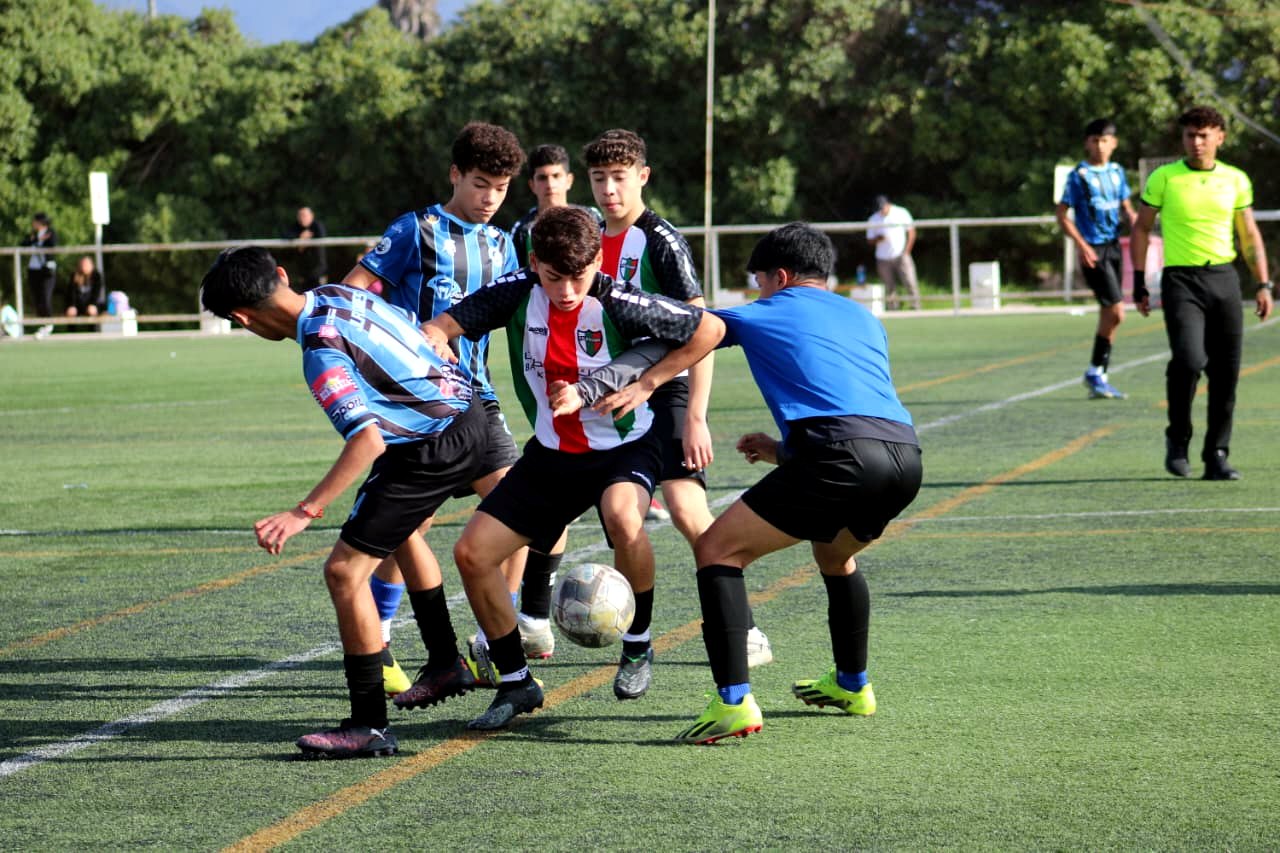 Partidos y experiencias - Escuela Oficial Palestino